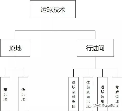 为什么专业篮球品牌在训练中如此重要_2